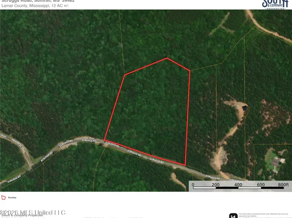 0 Scruggs Rd, Sumrall, MS 39482
