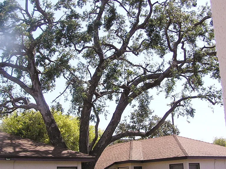 2563 Nina St — Photo 22