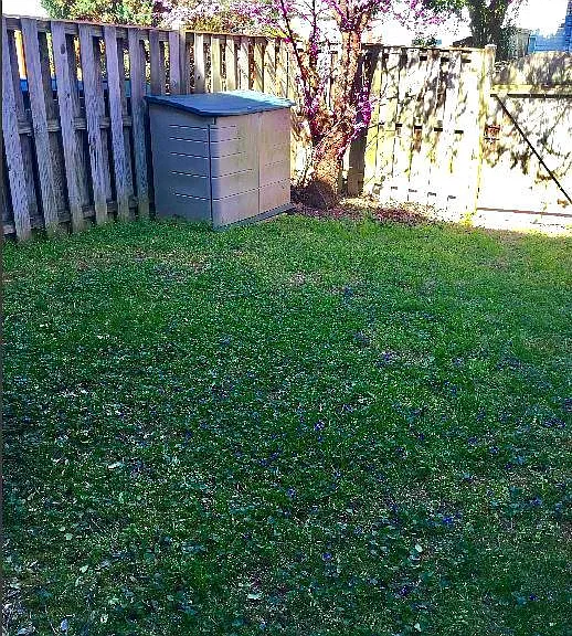 12866 Bison Ct — Photo 19