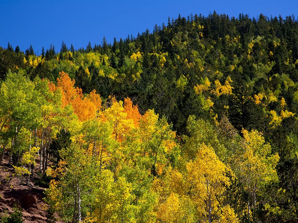 1st image of Cripple Creek Vacant Land
