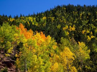 Cripple Creek Vacant Land, Cripple Creek, CO 80814