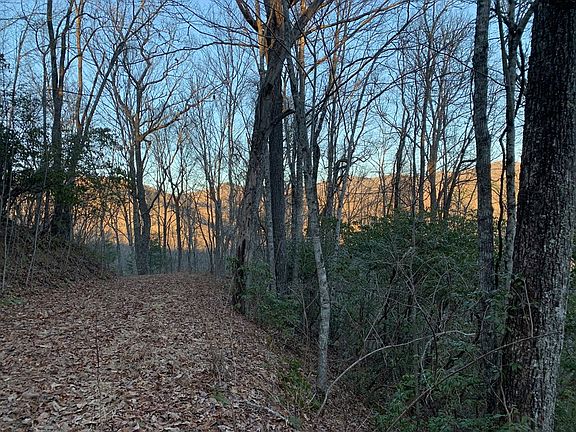 5th image of Bucks Nest Dr