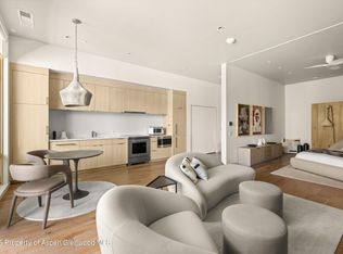 101 Willow Rd #202, Basalt, CO 81621
