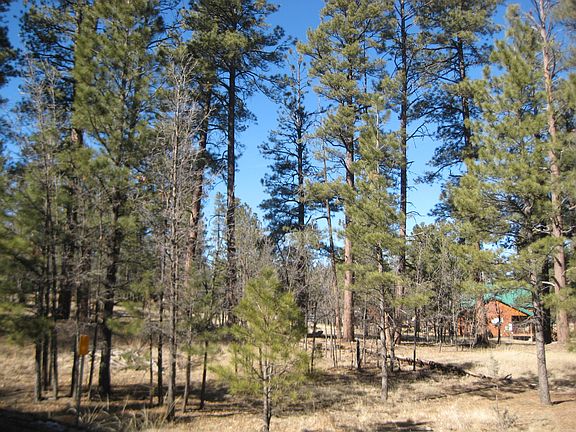 2nd image of 2402 Big Piney Dr