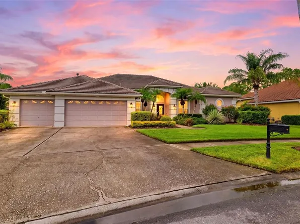 12012 BREWSTER DRIVE, TAMPA, FL 33626