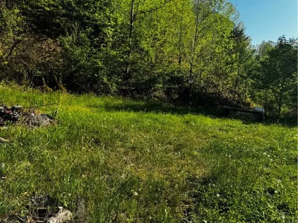 38 Osborne Dr, Danville, WV 25053