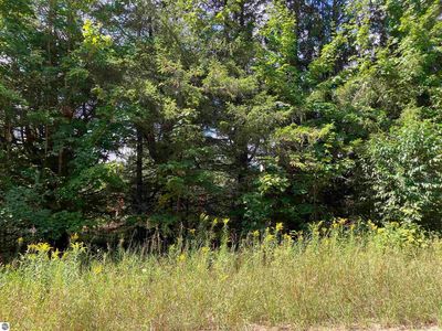 180 Flowing Well Rd SE, Kalkaska, MI, 49646