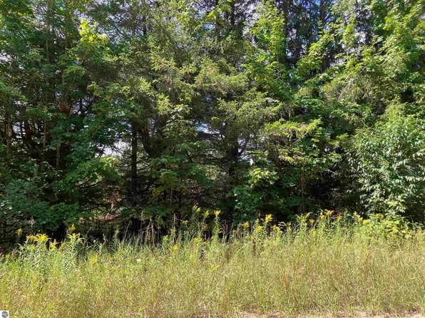 180 Flowing Well Rd SE, Kalkaska, MI 49646