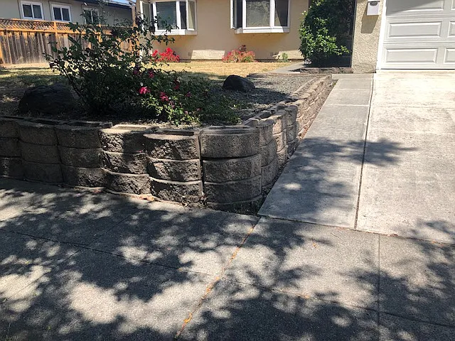 Raised large front yard with lawn and roses