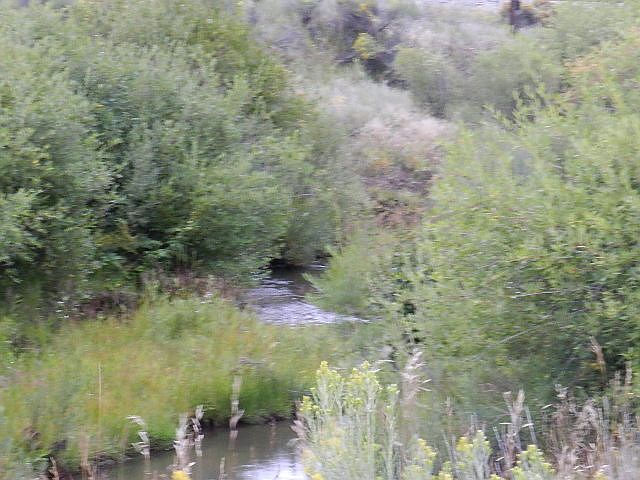1st image of Tbd Merlo Dr