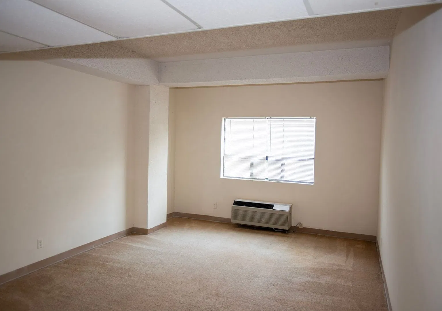 Studio Apartment in Downtown Athens - Steps Away From UGA Campus — Photo 4