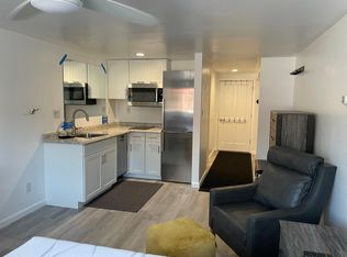 119 E Cooper Ave APT 3, Aspen, CO 81611