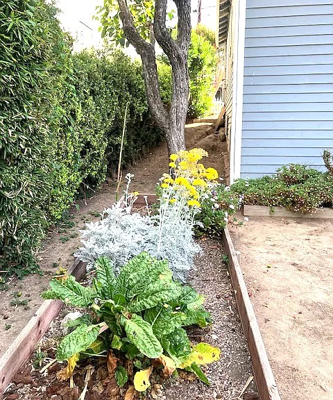 Side of house w/planter box for gardening