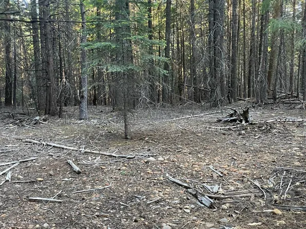 Shenandoah Dr, Shingletown, CA 96088