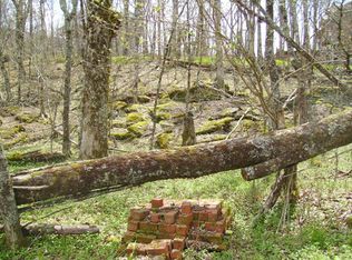 102 Mockingbird Ln, Banner Elk, NC 28604