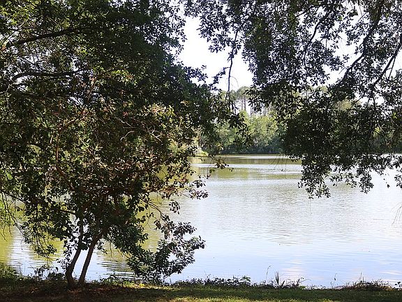 5th image of 3268 Lakeside Dr