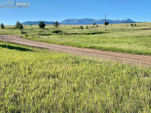 90 Golden Grain Ln, Divide, CO 80814