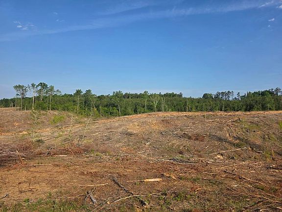 3rd image of 40 Lunenburg County Rd