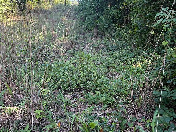 2nd image of 0 Buzhardt Rd