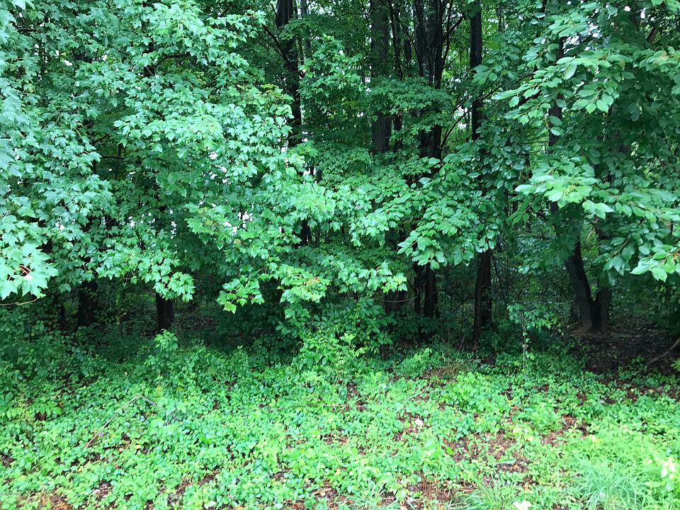 2nd image of Glenwood Dr