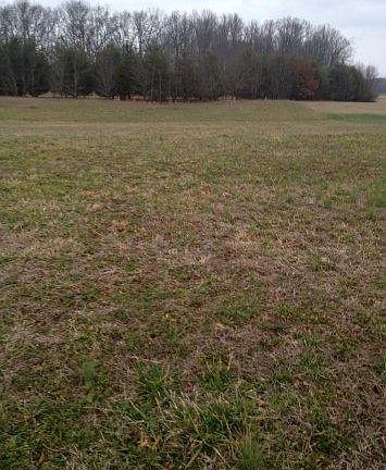 2nd image of 25 Lisa Dr Lot 25