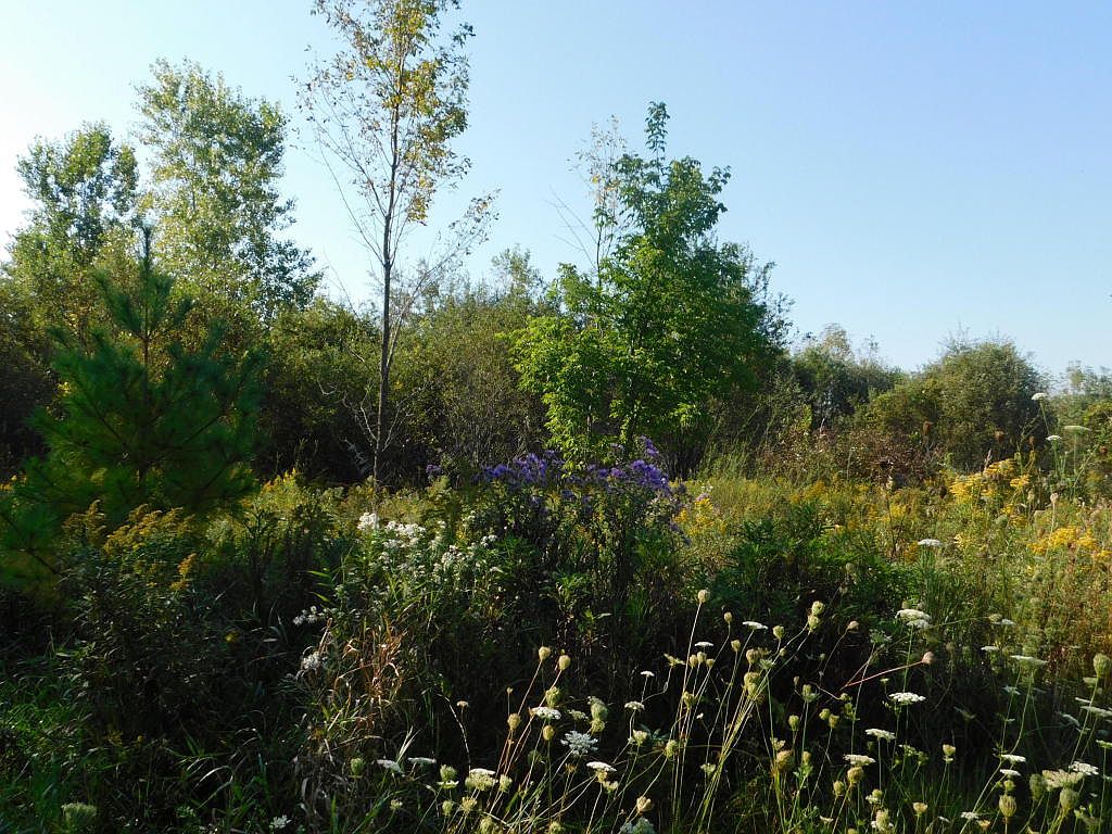 3397 County Road J, Abrams, WI 54101 | Zillow
