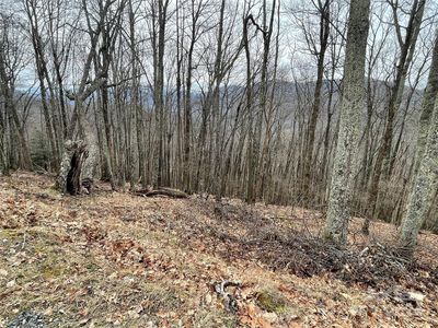 102 Flame Azalea Ln, Mars Hill, NC, 28754