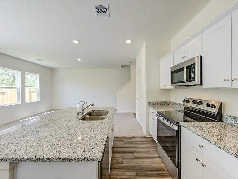 10207 Purple Daphne Ln — Photo 4
