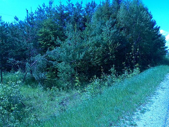 L/property line. gas here 