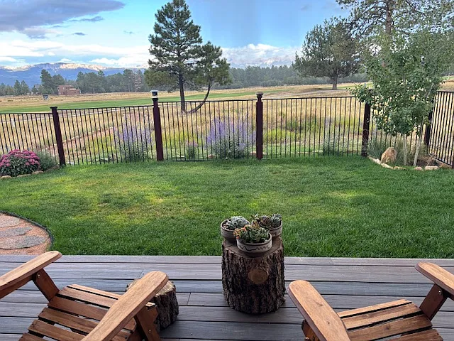 2 bed, 1406 sqft, $2,700 — Photo 4