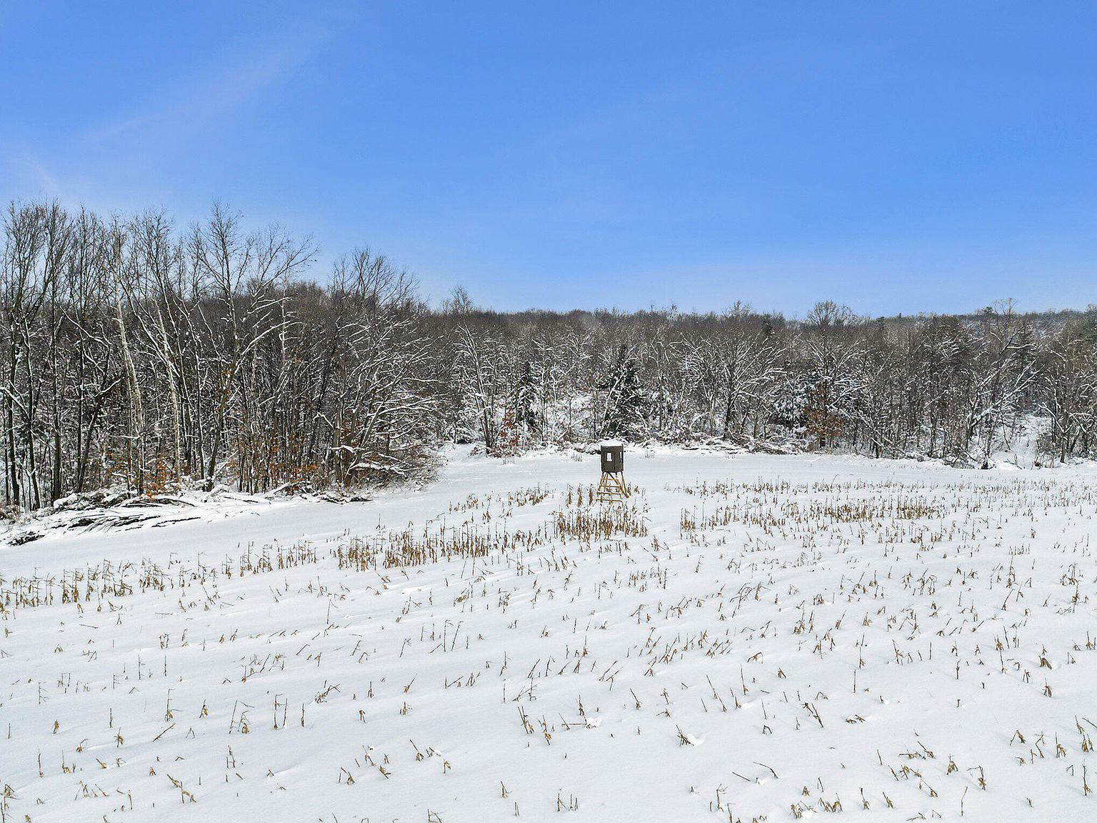 LOT W Dickerson Lake Rd A, Gowen, MI 49326 MLS 24003821 Zillow