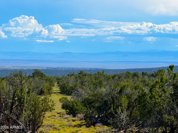 TBD Co Rd N7480 40 Acres -- #-, St Johns, AZ 85936