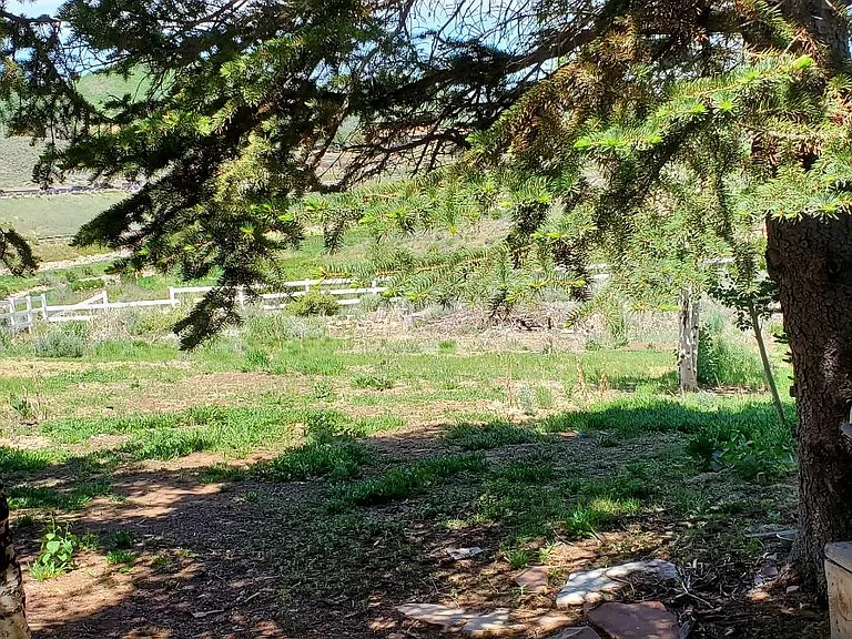 Huge back yard with creek and views