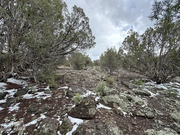 8367 Juniper Dr, Show Low, AZ 85901