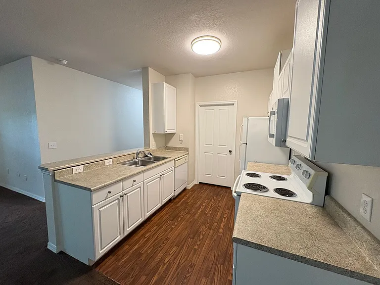 1003 Hemingway Cir — Photo 10