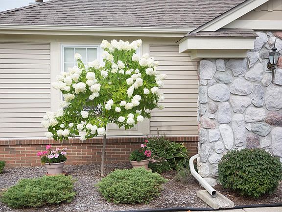 4th image of 46468 Killarney Cir #194