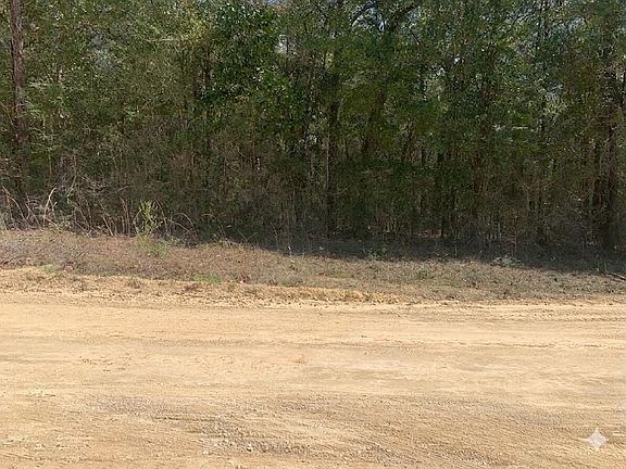 3rd image of 163 Tim Boland Rd