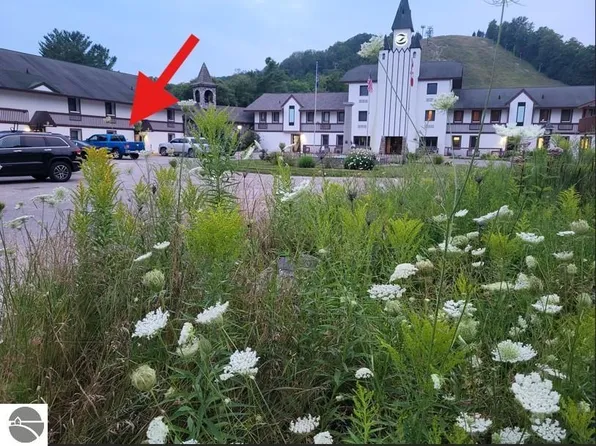 6500 Schuss Mountain Ln #125, Mancelona, MI 49659