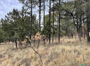 7 Carson Dr, Cloudcroft, NM 88317