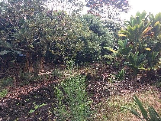 3rd image of Kaumana Dr Lot 45