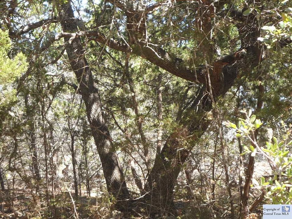 2nd image of 651 Rockmoor