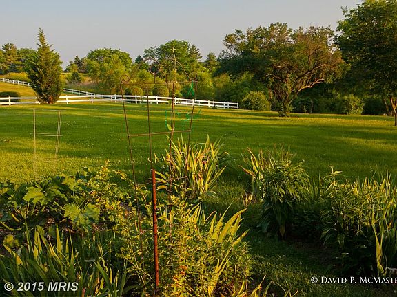 Really a 2 acre mini park. Wildlife abounds