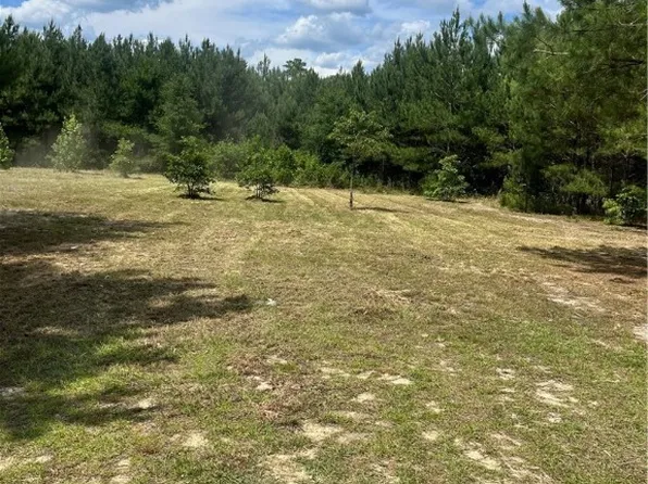Lee Rd, Gibson, NC 28343