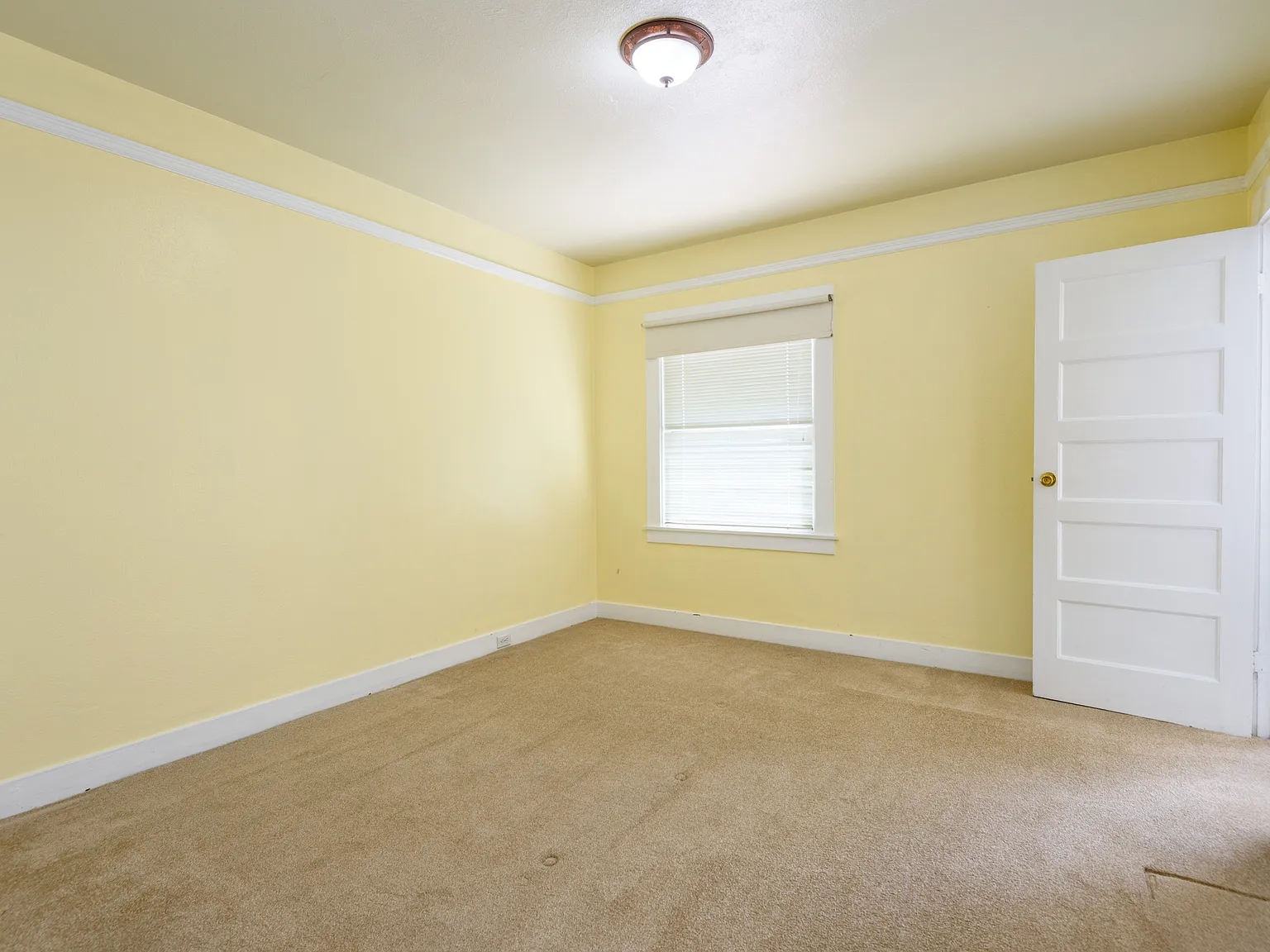 823 Linden Avenue - 1 — Photo 4
