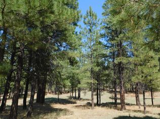 3427 Apache Dr, Happy Jack, AZ 86024