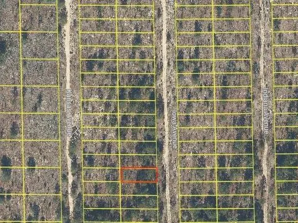 Iowa Avenue Lot #23, Hawthorne, FL 32640