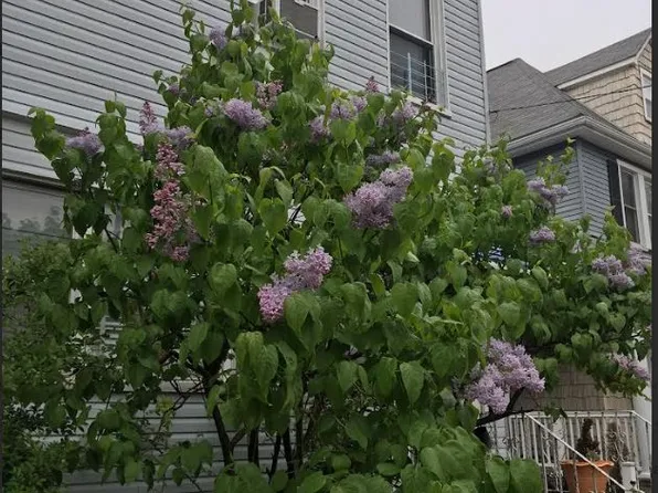 72-34 73rd Street image 8 of 10