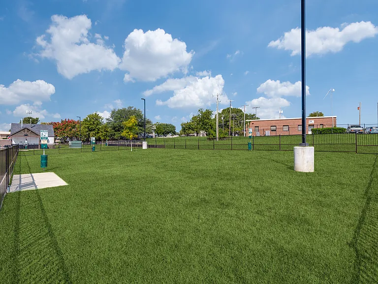 Dog Park