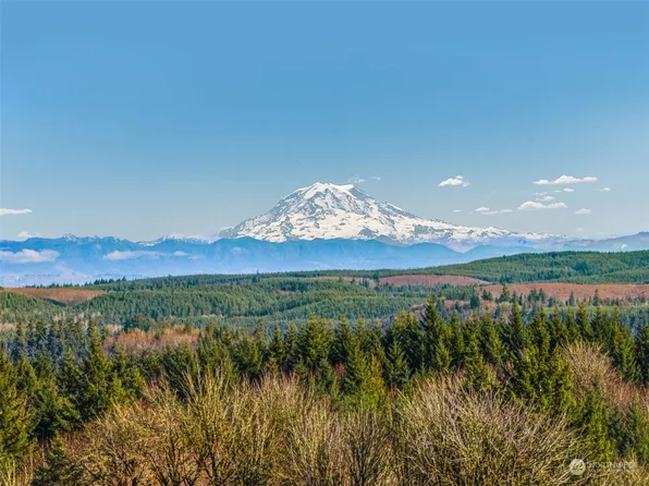 0 Lot G Olequa Heights Road, Castle Rock, WA 98611