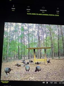 189 Rebel Rd, Andersonville, GA, 31711